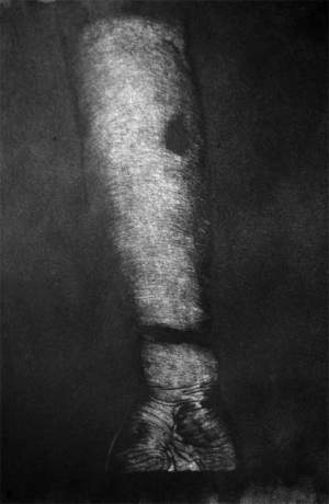 "BIKO SERIES (ARM)" by Paul Stopforth